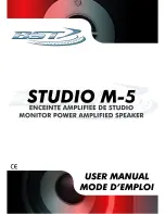 BST Studio M-5 User Manual предпросмотр