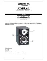 Предварительный просмотр 2 страницы BST Studio M-5 User Manual