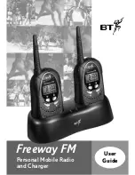 BT FREEWAY FM User Manual preview