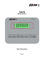 BTEK T401S User Instructions предпросмотр