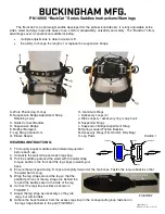 Предварительный просмотр 1 страницы Buckingham BuckCat Series Instructions & Warnings