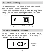 Preview for 16 page of BUFFBEE RS5 User Manual