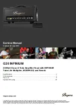 Bugera G20 INFINIUM Service Manual preview