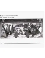 Предварительный просмотр 229 страницы Buick 2003 Century Owner'S Manual