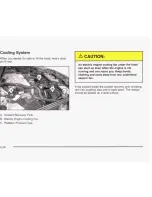 Предварительный просмотр 245 страницы Buick 2003 Century Owner'S Manual