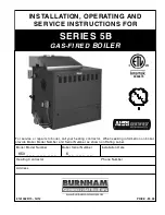 Burnham 5006B Installation And Operation Manual preview