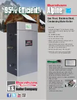 Burnham Alpine ALP399 Information Sheet preview