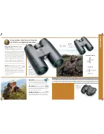 Предварительный просмотр 3 страницы Bushnell 118401 Brochure