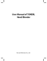 Предварительный просмотр 1 страницы Buwon Tokebi User Manual