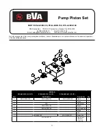 Предварительный просмотр 11 страницы BVA Hydraulics PE30M4N01A Instruction Manual