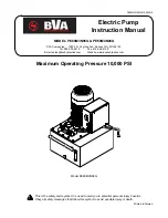 Preview for 1 page of BVA Hydraulics PE60M3N06G Instruction Manual