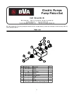 Preview for 9 page of BVA Hydraulics PE60M3N06G Instruction Manual