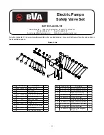 Preview for 11 page of BVA Hydraulics PE60M3N06G Instruction Manual