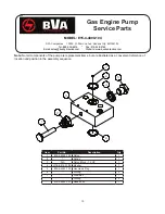 Preview for 10 page of BVA Hydraulics PG70M3N05 Instruction Manual