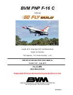 BVM GO FLY GOLD BVM PNP F-16 C Manual предпросмотр