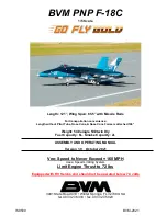 BVM Go Fly Gold F-18C Assembly And Operating Manual предпросмотр