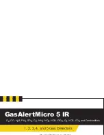 Preview for 1 page of BW Technologies GasAlertMicro 5 IR Quick Reference Manual