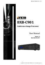 BXB Electronics BXB-C901 User Manual preview