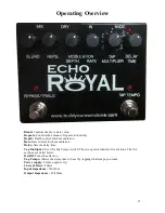 Предварительный просмотр 25 страницы BYOC Echo Royal Instructions Manual