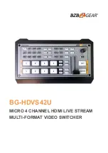 BZB Gear BG-HDVS42U User Manual предпросмотр