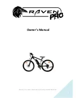 Bzooma Raven Pro Owner'S Manual предпросмотр