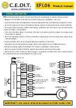 Preview for 2 page of C.E.DI.T. EFI.06 Product Manual