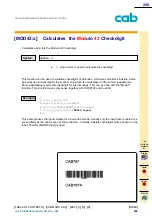 Предварительный просмотр 209 страницы CAB A Series Programming Manual