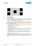 Предварительный просмотр 47 страницы CAB A2+ Configuration Instructions