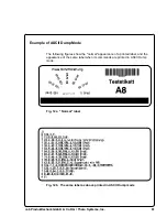 Preview for 81 page of CAB A8 Operator'S Manual