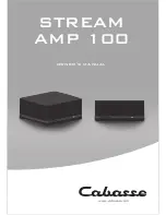 CABASSE Stream Amp 100 Owner'S Manual предпросмотр