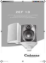 CABASSE ZEF13 Owner'S Manual preview