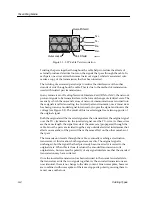 Предварительный просмотр 88 страницы Cabletron Systems 100BASE-FX Cabling Manual