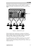 Предварительный просмотр 15 страницы Cabletron Systems CXRMIM Installation Manual