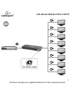 Preview for 3 page of Cablexpert DSP-8PH4-02 User Manual