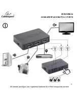 Предварительный просмотр 3 страницы Cablexpert DSW-HDMI-34 User Manual