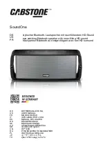 Предварительный просмотр 1 страницы cabstone SoundOne User Manual