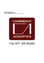 cadenbach MINERVA Quick Start Manual preview