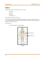 Preview for 240 page of CAE Healthcare Fidelis Lucina User Manual