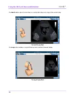 Preview for 242 page of CAE Healthcare Vimedix Abdo User Manual