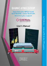 CAENels DAMC-FMC2ZUP User Manual preview