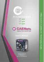 CAENels FLUCS CT-200 User Manual предпросмотр