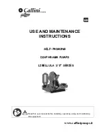 Caffini Libellula 1/3" aluminium on frame Use And Maintenance Instructions preview