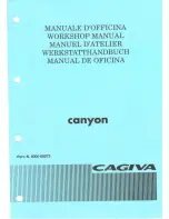 Cagiva 1997 Canyon 500 Workshop Manual preview