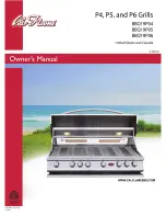 Предварительный просмотр 1 страницы Cal Flame BBQ19P04 Owner'S Manual