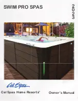 Cal Spas F-1325 Owner'S Manual preview