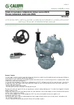 CALEFFI 146 Series Installation And Commissioning Manual предпросмотр