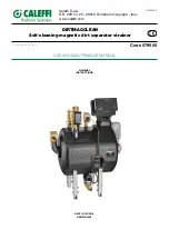 Preview for 1 page of CALEFFI DIRTMAGCLEAN Use And Maintenance Manual