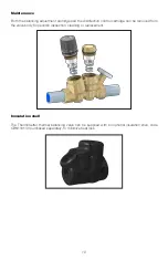 Preview for 10 page of CALEFFI ThermoSetter 116 Series Installation, Commissioning And Servicing Instructions