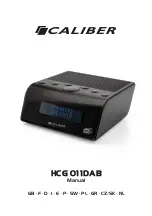Caliber HCG 011DAB Manual preview