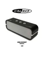 Предварительный просмотр 1 страницы Caliber HSG 309BT Manual